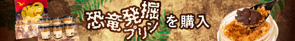 恐竜発掘プリンを購入する