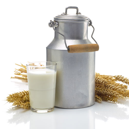 4 福井県産牛乳使用